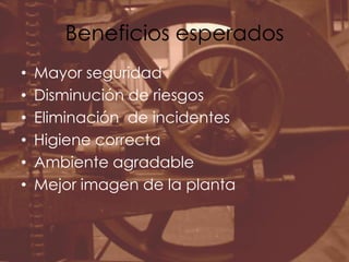 Beneficios esperadosMayor seguridadDisminución de riesgosEliminación  de incidentesHigiene correctaAmbiente agradableMejor imagen de la planta