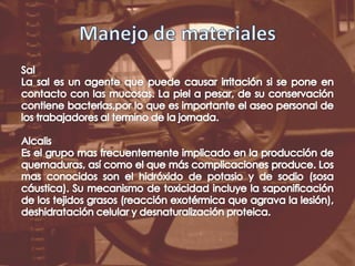 Manejo de materialesSalLa sal es un agente que puede causar irritación si se pone en contacto con las mucosas. La piel a pesar, de su conservación contiene bacterias,por lo que es importante el aseo personal de los trabajadores al termino de la jornada.AlcalisEs el grupo mas frecuentemente implicado en la producción de quemaduras, así como el que más complicaciones produce. Los mas conocidos son el hidróxido de potasio y de sodio (sosa cáustica). Su mecanismo de toxicidad incluye la saponificación de los tejidos grasos (reacción exotérmica que agrava la lesión), deshidratación celular y desnaturalización proteica. 