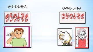 A-B-E-L-H-A
O-V-E-L-H-A
 