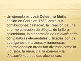  Un ejemplo es José Celestino Mutis.
nacido en Cádiz en 1732, entre sus
contibuciones destacan, la creación de una
enorme colección de dibujos de la flora
colombiana, la elaboración de un diccionario
con palabras elementales utilizadas por los
aborígenes de la zona, y numerosas
aportaciones en áreas tan diversas como la
industria, la medicina, la minería y la
destilación de bebidas alcohólicas.
 