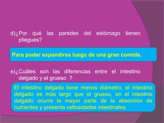 d)¿Por qué las paredes del estómago tienen
   pliegues?

Para poder expandirse luego de una gran comida.


e)¿Cuáles son las diferencias entre el intestino
   delgado y el grueso ?
 El intestino delgado tiene menos diámetro, el intestino
 delgado es más largo que el grueso, en el intestino
 delgado ocurre la mayor parte de la absorción de
 nutrientes y presenta vellosidades intestinales.
 