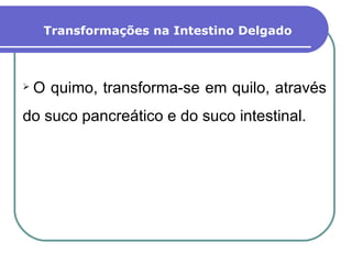 Transformações na Intestino Delgado O quimo, transforma-se em quilo, através do suco pancreático e do suco intestinal. 