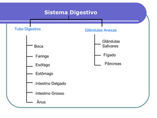Sistema Digestivo  Tubo Digestivo Glândulas Anexas Glândulas Salivares Fígado Pâncreas Boca Faringe Esófago Estômago Intestino Delgado Intestino Grosso Ânus 
