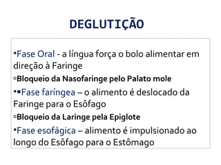 DEGLUTIÇÃO
•Fase Oral - a língua força o bolo alimentar em
direção à Faringe
Bloqueio da Nasofaringe pelo Palato mole
•Fase faríngea – o alimento é deslocado da
Faringe para o Esôfago
Bloqueio da Laringe pela Epiglote
•Fase esofágica – alimento é impulsionado ao
longo do Esôfago para o Estômago
 