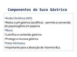 Componentes do Suco Gástrico
•Ácido Clorídrico (HCl)
Reduz o pH gástrico (acidifica) – permite a conversão
do pepsinogênio em pepsina
•Muco
Lubrifica o conteúdo gástrico
Protege a mucosa gástrica
•Fator Intrínseco
Importante para a absorção de vitamina B12
 