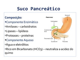 Suco Pancreático
Composição:
Componente Enzimático
Amilases – carboidratos
Lipases – lipídeos
Proteases – proteínas
Componente Aquoso
Água e eletrólitos
Rico em Bicarbonato (HCO3) – neutraliza a acidez do
quimo
 