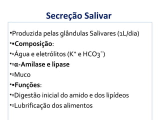 Secreção Salivar
•Produzida pelas glândulas Salivares (1L/dia)
•Composição:
•Água e eletrólitos (K⁺ e HCO3¯)
•α-Amilase e lipase
•Muco
•Funções:
•Digestão inicial do amido e dos lipídeos
•Lubrificação dos alimentos
 