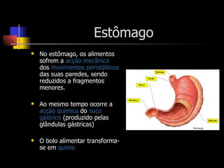 Estômago No estômago, os alimentos sofrem a  acção mecânica  dos  movimentos peristálticos  das suas paredes, sendo reduzidos a fragmentos menores. Ao mesmo tempo ocorre a  acção química  do  suco gástrico  (produzido pelas glândulas gástricas) O bolo alimentar transforma-se em  quimo 