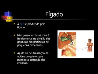 Fígado A  bílis  é produzida pelo fígado. Não possui enzimas mas é fundamental na divisão das gorduras em partículas de pequenas dimensões. Ajuda na neutralização da acidez do quimo, que permite a actuação das enzimas. 