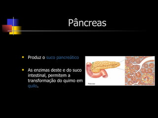 Pâncreas Produz o  suco pancreático As enzimas deste e do suco intestinal, permitem a transformação do quimo em  quilo . 