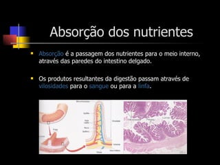 Absorção dos nutrientes Absorção  é a passagem dos nutrientes para o meio interno, através das paredes do intestino delgado. Os produtos resultantes da digestão passam através de  vilosidades  para o  sangue  ou para a  linfa . 