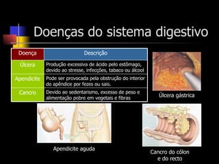 Doenças do sistema digestivo Úlcera gástrica Apendicite aguda Cancro do cólon e do recto Devido ao sedentarismo, excesso de peso e alimentação pobre em vegetais e fibras Cancro Pode ser provocada pela obstrução do interior do apêndice por fezes ou sais. Apendicite Produção excessiva de ácido pelo estômago, devido ao stresse, infecções, tabaco ou álcool Úlcera Descrição Doença 