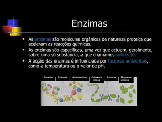 Enzimas As  enzimas  são moléculas orgânicas de natureza proteíca que aceleram as reacções químicas. As enzimas são específicas, uma vez que actuam, geralmente, sobre uma só substância, a que chamamos  substrato . A acção das enzimas é influenciada por  factores ambientais , como a temperatura ou o valor de pH. Proteína Enzimas Aminoácidos Polissacarídeos Enzimas Monossacarídeos 