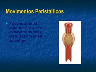Movimentos Peristálticos A progressão do bolo alimentar faz-se através de contracções, em ondas, dos músculos da parede do   esófago. 