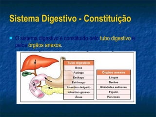 Sistema Digestivo - Constituíção O sistema digestivo é constituído pelo   tubo digestivo   e pelos   órgãos anexos . 