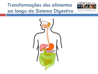 Transformações dos alimentos ao longo do Sistema Digestivo 
