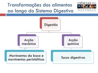 Transformações dos alimentos ao longo do Sistema Digestivo 