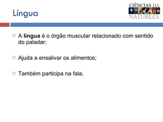 Língua A  língua  é o órgão muscular relacionado com sentido do paladar; Ajuda a ensalivar os alimentos;  Também participa na fala. 