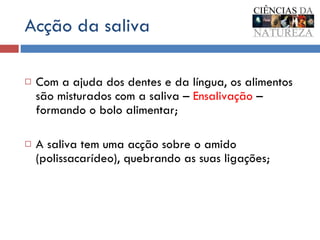 Acção da saliva Com a ajuda dos dentes e da língua, os alimentos são misturados com a saliva –  Ensalivação  – formando o bolo alimentar;  A saliva tem uma acção sobre o amido (polissacarídeo), quebrando as suas ligações;  