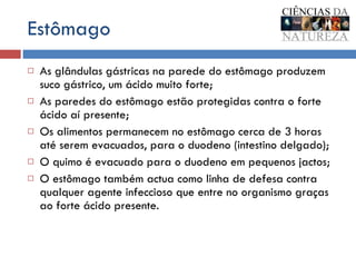 Estômago As glândulas gástricas na parede do estômago produzem suco gástrico, um ácido muito forte; As paredes do estômago estão protegidas contra o forte ácido aí presente; Os alimentos permanecem no estômago cerca de 3 horas até serem evacuados, para o duodeno (intestino delgado); O quimo é evacuado para o duodeno em pequenos jactos; O estômago também actua como linha de defesa contra qualquer agente infeccioso que entre no organismo graças ao forte ácido presente. 