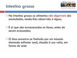 Intestino grosso No intestino grosso os alimentos  não digeríveis  são acumulados, sendo-lhes absorvida a água;  É aí que são armazenadas as fezes, antes de serem evacuadas; O ânus encontra-se fechado por um músculo chamado esfíncter anal, situado à sua volta, em forma de anel. 