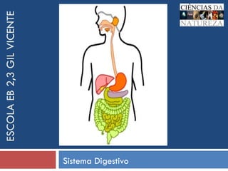 ESCOLA EB 2,3 GIL VICENTE Sistema Digestivo 