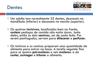 Dentes Um adulto tem normalmente 32 dentes, dezasseis na mandíbula (inferior) e dezasseis na maxila (superior).  Os quatros  incisivos , localizados bem na frente,  cortam  pedaços de comida não muito duros. Junto deles, estão os dois  caninos , um de cada lado. Por serem pontiagudos, servem para  dilacerar  e  perfurar.   Os incisivos e os caninos preparam uma quantidade de alimento para entrar na boca. A tarefa seguinte fica para os quatro  pré-molares  e seis  molares : a de  cortar ,  esmagar  e  triturar  o alimento. 