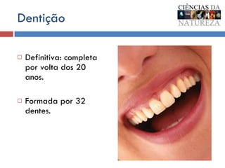 Dentição Definitiva: completa por volta dos 20 anos. Formada por 32 dentes. 