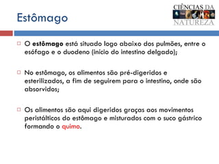 Estômago O  estômago  está situado logo abaixo dos pulmões, entre o esófago e o duodeno (início do intestino delgado); No estômago, os alimentos são pré-digeridos e esterilizados, a fim de seguirem para o intestino, onde são absorvidos; Os alimentos são aqui digeridos graças aos movimentos peristálticos do estômago e misturados com o suco gástrico formando o  quimo . 