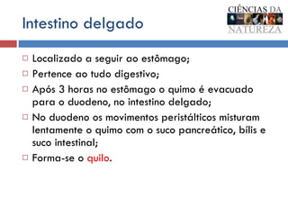 Intestino delgado Localizado a seguir ao estômago;  Pertence ao tudo digestivo; Após 3 horas no estômago o quimo é evacuado para o duodeno, no intestino delgado; No duodeno os movimentos peristálticos misturam lentamente o quimo com o suco pancreático, bílis e suco intestinal; Forma-se o  quilo . 