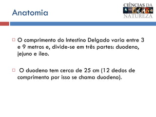 Anatomia  O comprimento do Intestino Delgado varia entre 3 e 9 metros e, divide-se em três partes: duodeno, jejuno e íleo. O duodeno tem cerca de 25 cm (12 dedos de comprimento por isso se chama duodeno).  