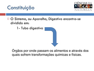 Constituição O Sistema, ou Aparelho, Digestivo encontra-se dividido em: 1- Tubo digestivo Órgãos por onde passam os alimentos e através dos quais sofrem transformações químicas e físicas. 