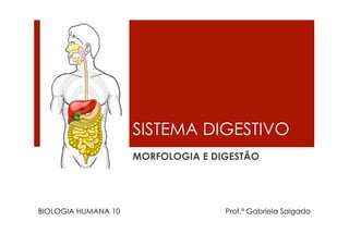 SISTEMA DIGESTIVO
                     MORFOLOGIA E DIGESTÃO




BIOLOGIA HUMANA 10                  Prof.ª Gabriela Salgado
 
