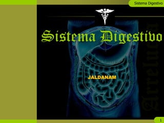 Sistema Digestivo




                     Sistema Digestivo
Sistema Digestivo

       Histología

            Boca

         Faringe


         Esófago


       Estómago


Intestino delgado
                           JALDANAM

 Intestino grueso


Glándulas anexas


        Fisiología




                                                     1
 