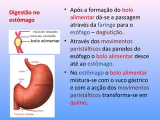 Digestão no
estômago
• Após a formação do bolo
alimentar dá-se a passagem
através da faringe para o
esófago – deglutição.
• Através dos movimentos
peristálticos das paredes do
esófago o bolo alimentar desce
até ao estômago.
• No estômago o bolo alimentar
mistura-se com o suco gástrico
e com a acção dos movimentos
peristálticos transforma-se em
quimo.
estômago
 