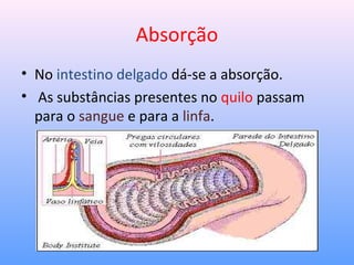 Absorção
• No intestino delgado dá-se a absorção.
• As substâncias presentes no quilo passam
para o sangue e para a linfa.
 