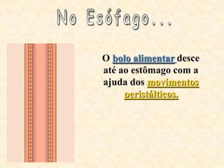 O bolo alimentar desce
até ao estômago com a
ajuda dos movimentos
     peristálticos.
 