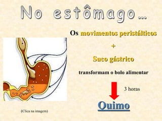 Os movimentos peristálticos
                                   +
                           Suco gástrico
                      transformam o bolo alimentar


                                        3 horas



(Clica na imagem)
                             Quimo
 
