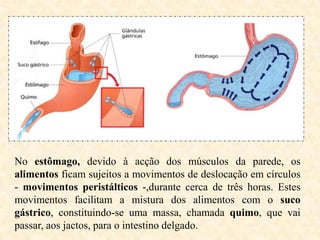 No estômago, devido à acção dos músculos da parede, os
alimentos ficam sujeitos a movimentos de deslocação em círculos
- movimentos peristálticos -,durante cerca de três horas. Estes
movimentos facilitam a mistura dos alimentos com o suco
gástrico, constituindo-se uma massa, chamada quimo, que vai
passar, aos jactos, para o intestino delgado.
 