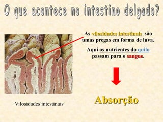 As vilosidades intestinais são
                          umas pregas em forma de luva.
                            Aqui os nutrientes do quilo
                             passam para o sangue.




Vilosidades intestinais        Absorção
 
