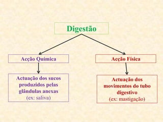 Digestão


 Acção Química                    Acção Física


Actuação dos sucos                Actuação dos
 produzidos pelas               movimentos do tubo
 glândulas anexas                    digestivo
    (ex: saliva)                 (ex: mastigação)
 