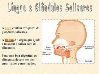 A boca contém três pares de
glândulas salivares.

A língua é o órgão que ajuda
a misturar a saliva com os
alimentos.

Para uma boa digestão, os
alimentos devem ser bem
ensalivados e mastigados.
 