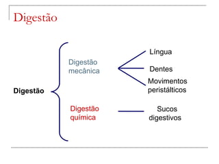 Digestão  Digestão mecânica  Digestão química Língua  Dentes  Movimentos peristálticos  Sucos digestivos  Digestão  