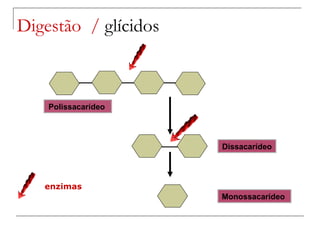 Digestão  /  glícidos Polissacarídeo  Dissacarídeo  Monossacarídeo  enzimas 