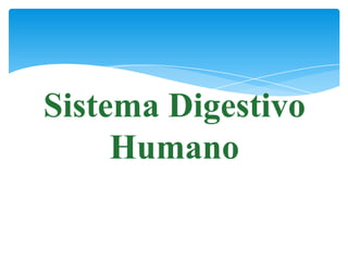 Sistema Digestivo
     Humano
 