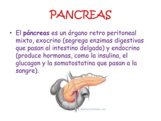 PANCREAS
• El páncreas es un órgano retro peritoneal
  mixto, exocrino (segrega enzimas digestivas
  que pasan al intestino delgado) y endocrino
  (produce hormonas, como la insulina, el
  glucagon y la somatostatina que pasan a la
  sangre).
 