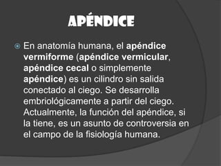 apéndice
   En anatomía humana, el apéndice
    vermiforme (apéndice vermicular,
    apéndice cecal o simplemente
    apéndice) es un cilindro sin salida
    conectado al ciego. Se desarrolla
    embriológicamente a partir del ciego.
    Actualmente, la función del apéndice, si
    la tiene, es un asunto de controversia en
    el campo de la fisiología humana.
 