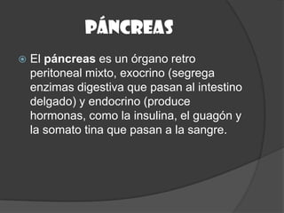 páncreas
   El páncreas es un órgano retro
    peritoneal mixto, exocrino (segrega
    enzimas digestiva que pasan al intestino
    delgado) y endocrino (produce
    hormonas, como la insulina, el guagón y
    la somato tina que pasan a la sangre.
 
