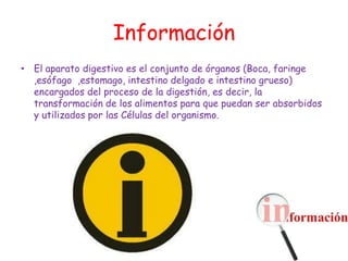 Información
• El aparato digestivo es el conjunto de órganos (Boca, faringe
  ,esófago ,estomago, intestino delgado e intestino grueso)
  encargados del proceso de la digestión, es decir, la
  transformación de los alimentos para que puedan ser absorbidos
  y utilizados por las Células del organismo.
 