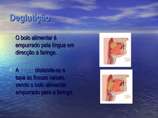 Deglutição
• O bolo alimentar é
  empurrado pela língua em
  direcção à faringe.

• A úvula distende-se e
  tapa as fossas nasais,
  sendo o bolo alimentar
  empurrado para a faringe.
 